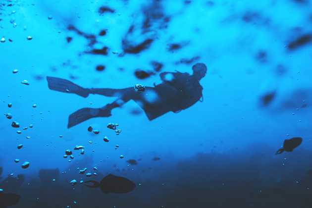 A relaxed diver underwater. Photo by Marvin Meyer on Unsplash